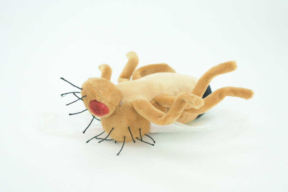 Fruit Fly, Drosophila melanogaster, Plush Insect Design, Educational, Figure, Replica, Gift,     6"   F4307 B323