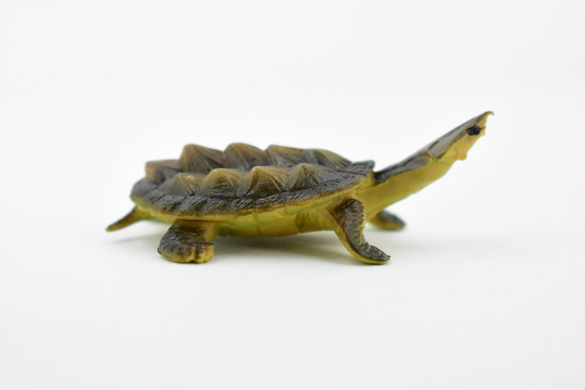 Alligator Snapping Turtle,  Matamata Turtle, Rubber Reptile, Hand Painted, Educational, Realistic Toy Figure, Diorama Model, Kids, Gift,     2 Inches.  CH414 BB108