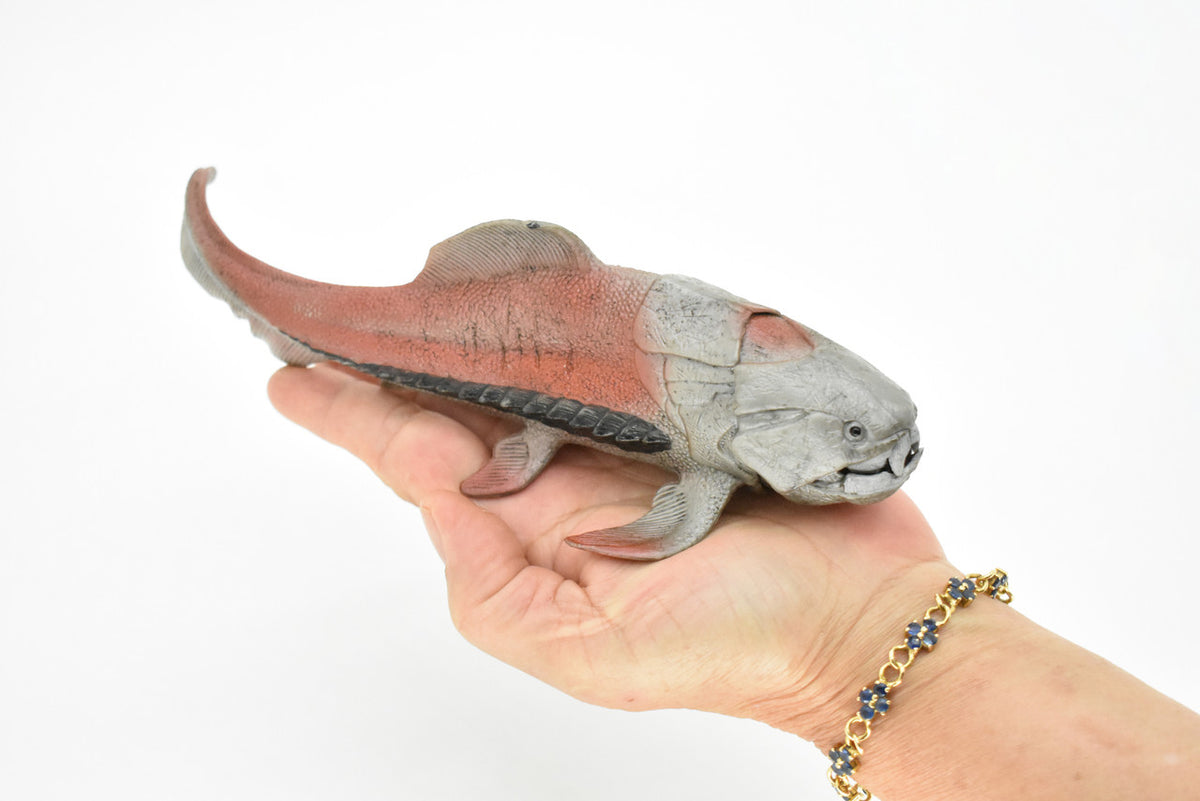 Dunkleosteus, Prehistoric Fish, Dinosaur, Museum Quality, Rubber Fish, Hand Painted, Realistic Toy Figure, Diorama Model, Kids, Educational,  8 Inches.