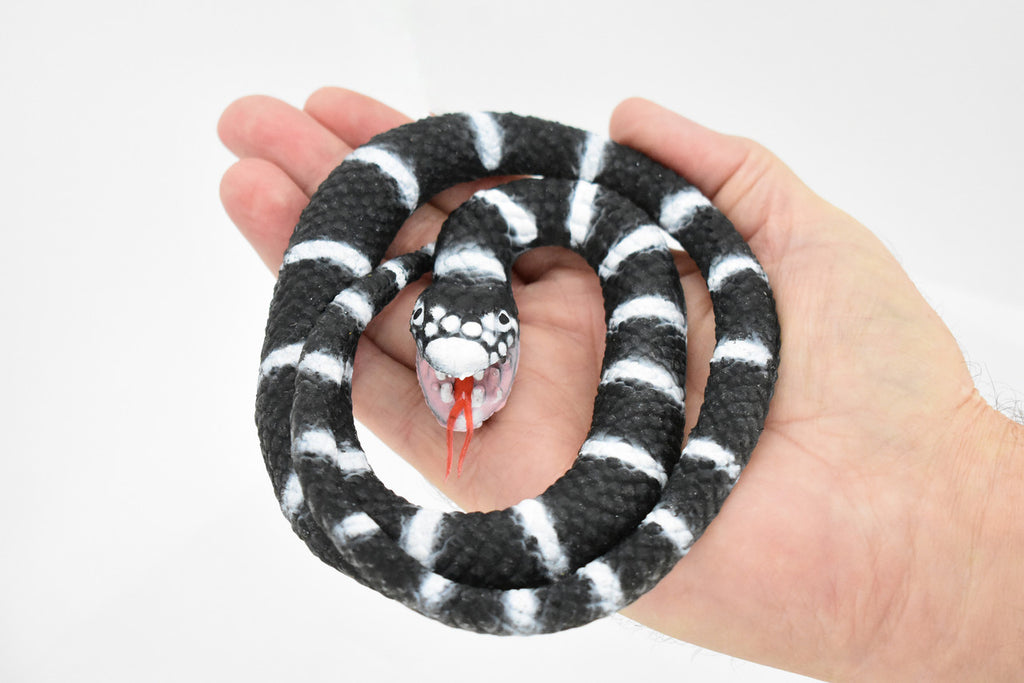 Snake, California King Snake, Coiled, Rubber Reptile, Educational, Realistic Hand Painted, Figure, Lifelike Model, Figurine, Replica, Gift,     26"     F4436 B307
