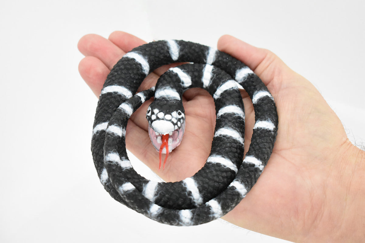 Snake, California King Snake, Coiled, Rubber Reptile, Educational, Realistic Hand Painted, Figure, Lifelike Model, Figurine, Replica, Gift,     26"     F4436 B307