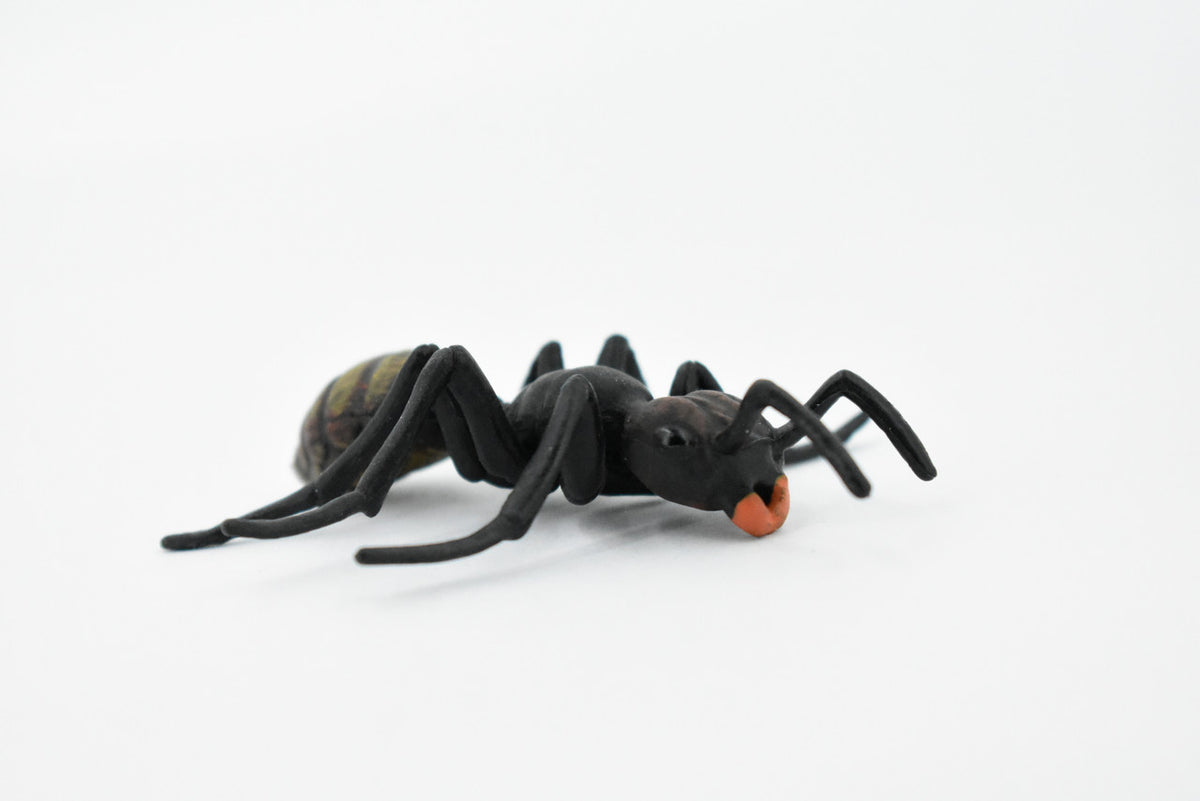 Black Ant, Myrmicinae, Museum Quality, Educational, Hand Painted, Rubber Insect, Realistic Toy Figure, Diorama Model, Kids,  3 Inches.
