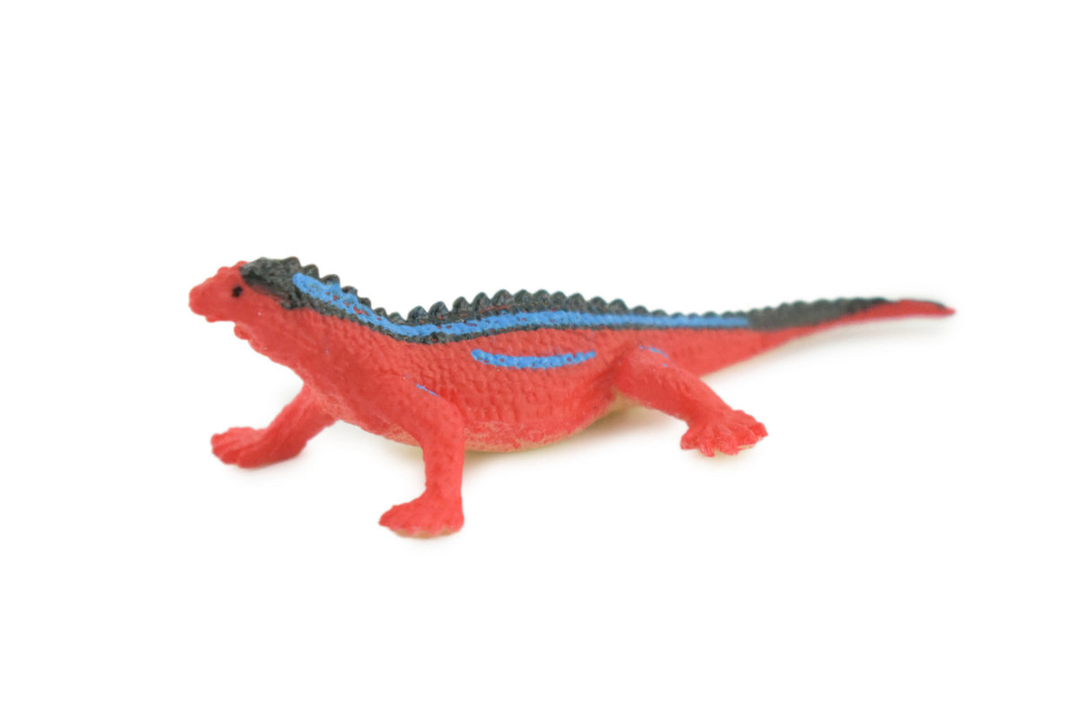 Red Head Agama, Rainbow Lizard, Rubber Reptile, Hand Painted, Educational, Realistic, Model, Replica, Toys, Kids, Gift, 2 1/2 Inches. WR41 B197 