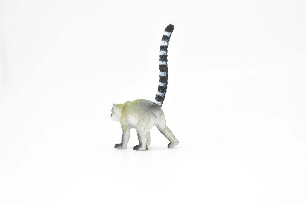 Lemur, Ringtail,  Ring-Tailed, Madagascar, Very Nice Plastic Design, Animal Figure, Educational, Figure, Lifelike, Diorama Model, Replica, Toy, Kids, Gift,   3 Inches.    CWG110 B237