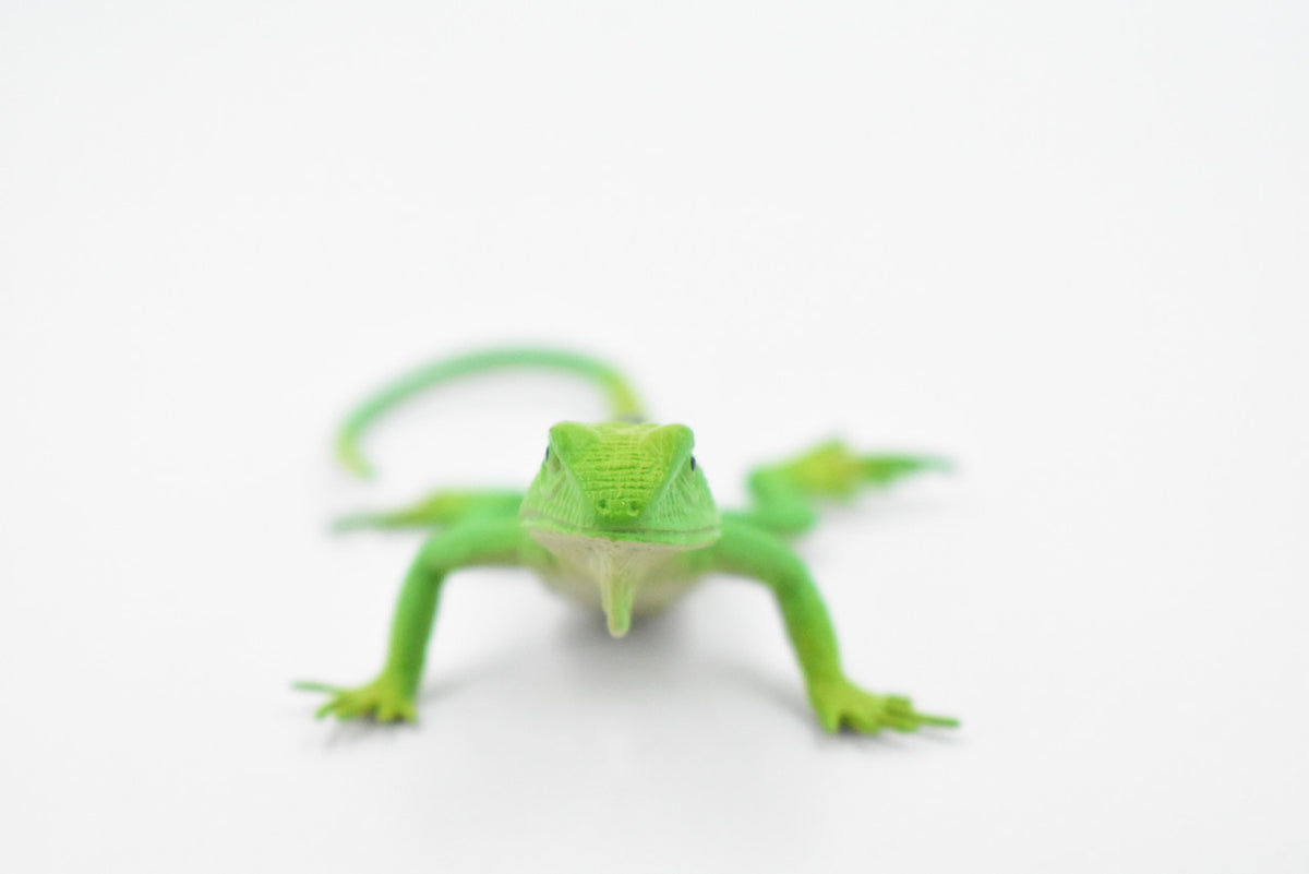 Lizard, Collared Lizard, Female, Rubber Reptile Toy, Realistic Figure, Model, Replica, Kids, Educational, Gift,       4 1/2"     F6109 B381