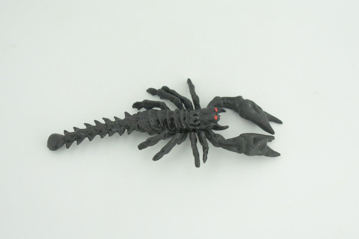 Scorpion, Black, Soft Rubber, Arachnids, Realistic Figure, Model, Replica, Toys, Kids, Educational, Gift,      5 Inches      CWG39 B217
