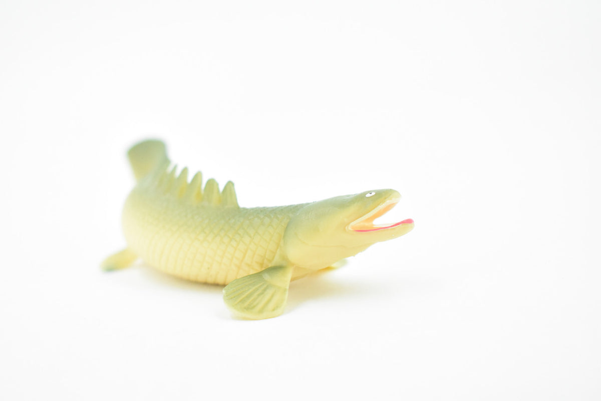 Polypterus, Nile Bichirs, Ropefish, Museum Quality, Rubber Fish, Hand Painted, Realistic Toy Figure, Diorama Model, Kids, Educational,  4 1/2 Inches. 
