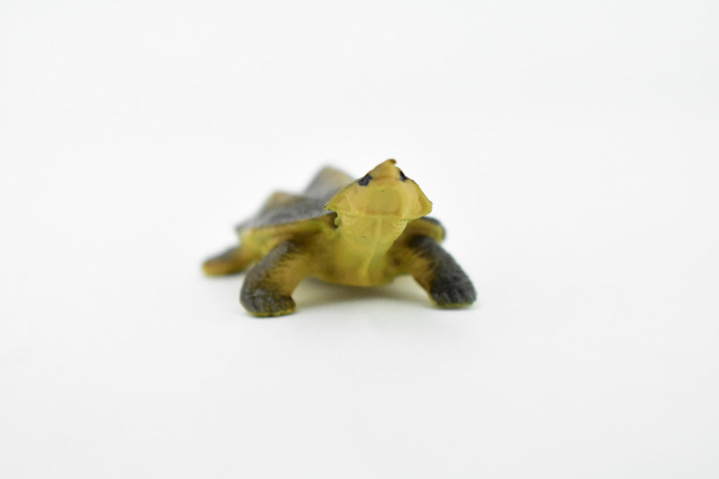 Alligator Snapping Turtle,  Matamata Turtle, Rubber Reptile, Hand Painted, Educational, Realistic Toy Figure, Diorama Model, Kids, Gift,     2 Inches.  CH414 BB108