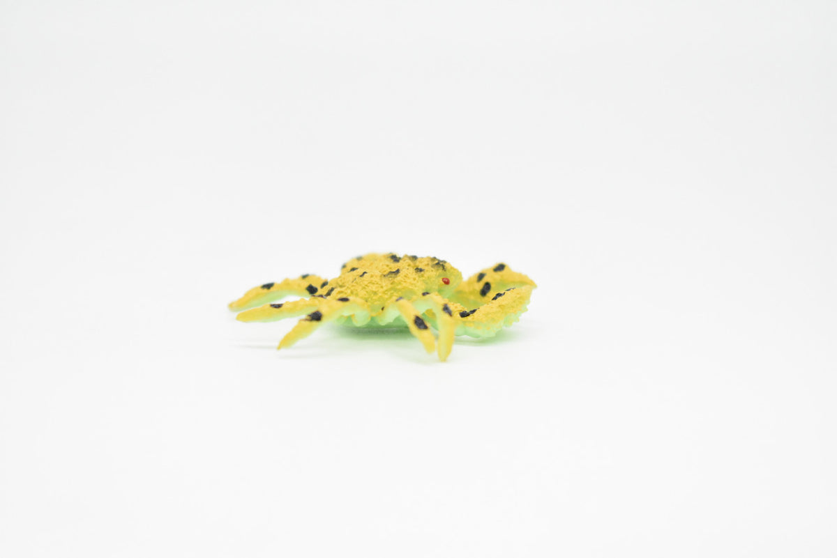 Crab, Golden Ghost Crab, Ocypode convexа, Hand Painted, Realistic, Solid Rubber, Saltwater, Educational Model,  Figure, Lifelike, Diorama Model, Figurine, Replica, Toy, Gift,  2 Inches      CWG139 BB28