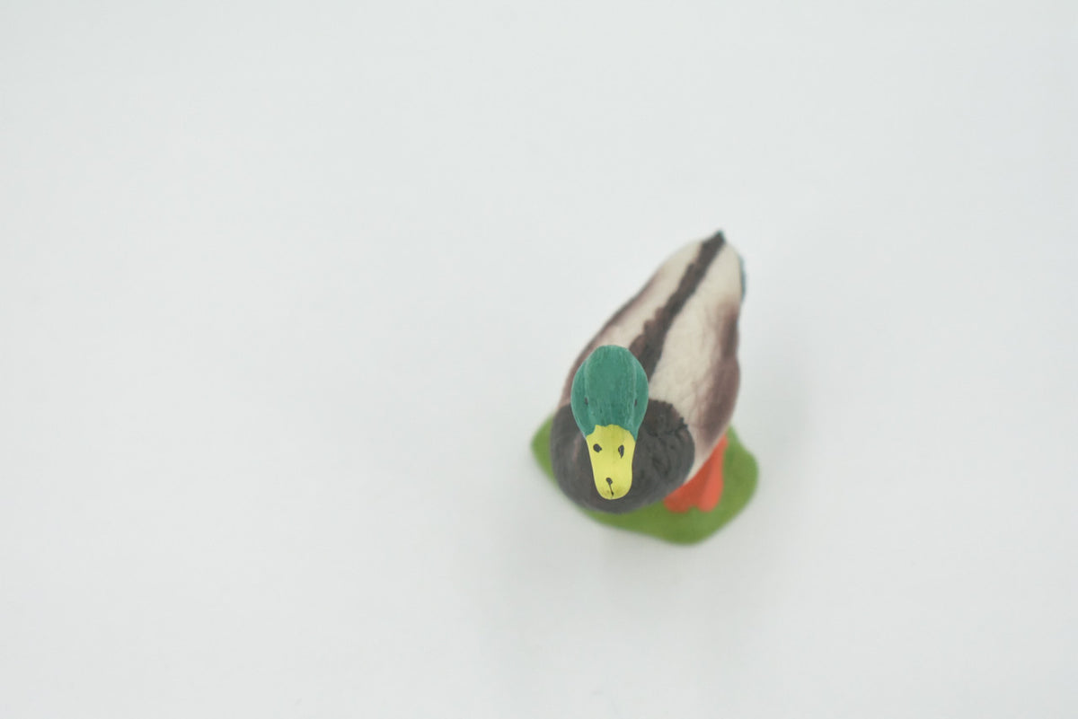 Bird, Duck, Mallard, Drake, Male, Museum Quality, Hand Painted, Rubber, Realistic, Figure, Toy, Kids, Educational, Gift,      2"    CH588 BB164