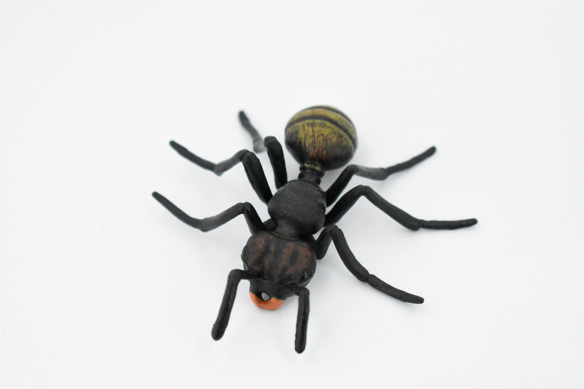 Black Ant, Myrmicinae, Museum Quality, Educational, Hand Painted, Rubber Insect, Realistic Toy Figure, Diorama Model, Kids,  3 Inches.