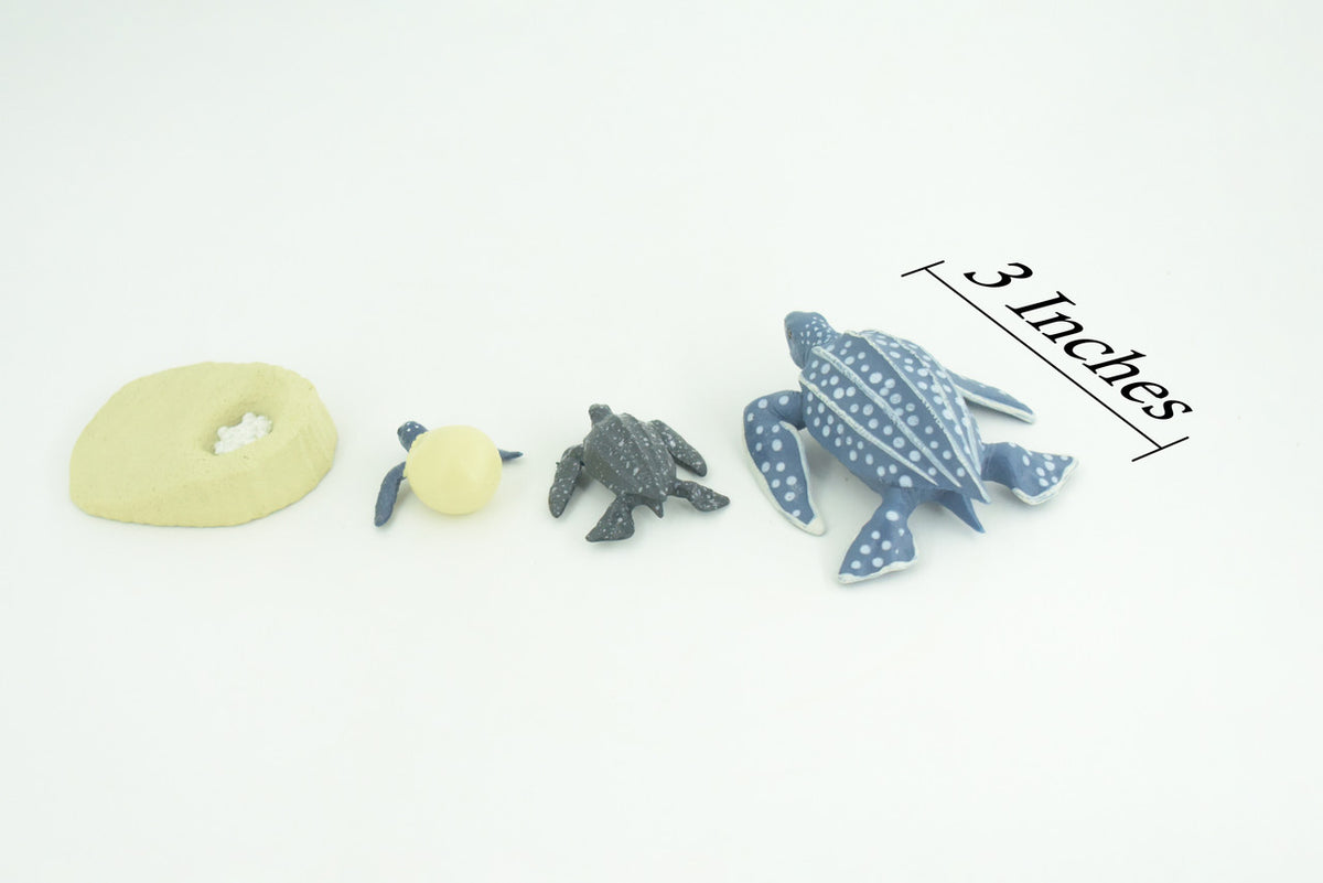 Leatherback Turtle Life Cycle, 4 Piece Set, Hand Painted, Educational, High Quality Rubber Reptile, Sea Turtle, Diorama, Figure, Toys, Kids, Gift, 3 Inches. CH993 BB215