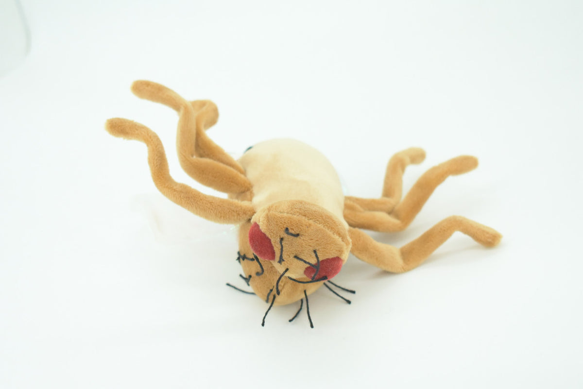 Fruit Fly, Drosophila melanogaster, Plush Insect Design, Educational, Figure, Replica, Gift,     6"   F4307 B323