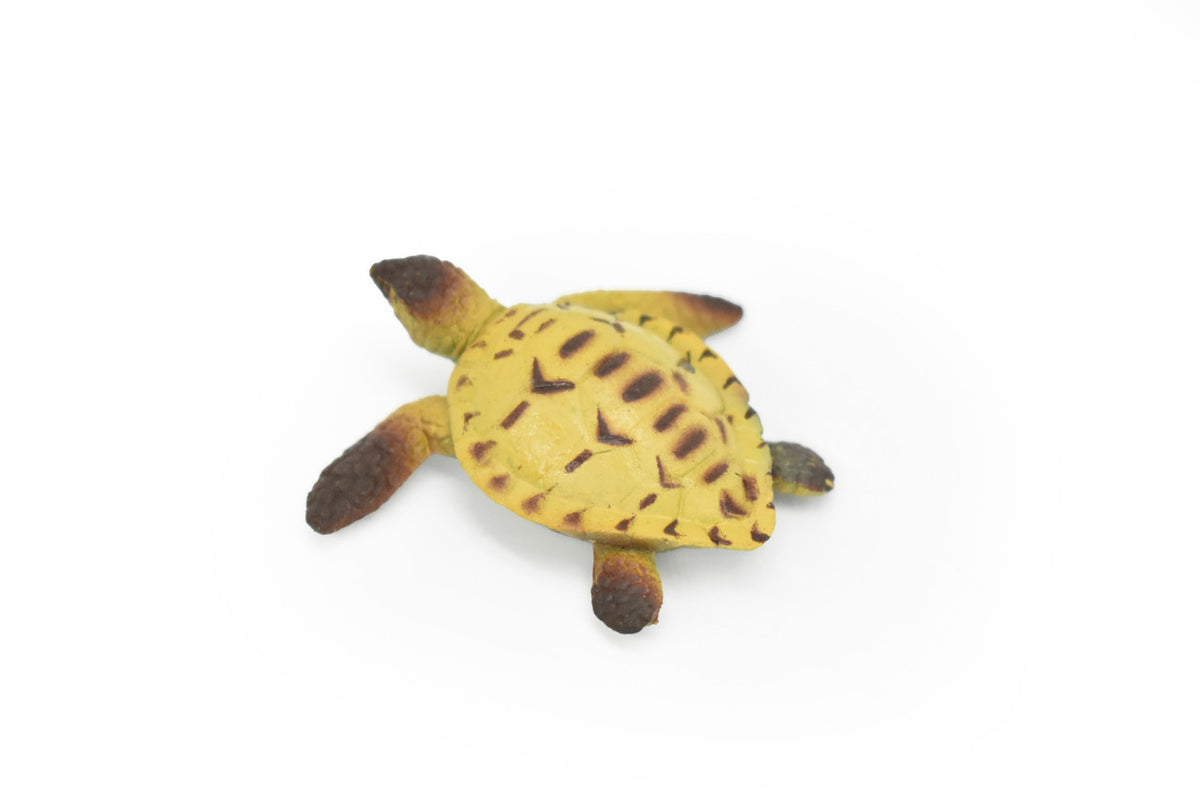 Sea Turtle, Cheloniidae, Plastic Turtle Design, Educational, Realistic, Hand Painted, Figure, Lifelike Figurine, Diorama Model, Toy, 2 Inches. 