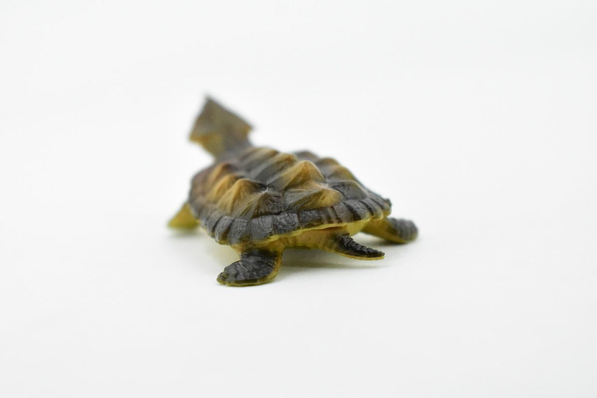 Alligator Snapping Turtle,  Matamata Turtle, Rubber Reptile, Hand Painted, Educational, Realistic Toy Figure, Diorama Model, Kids, Gift,     2 Inches.  CH414 BB108