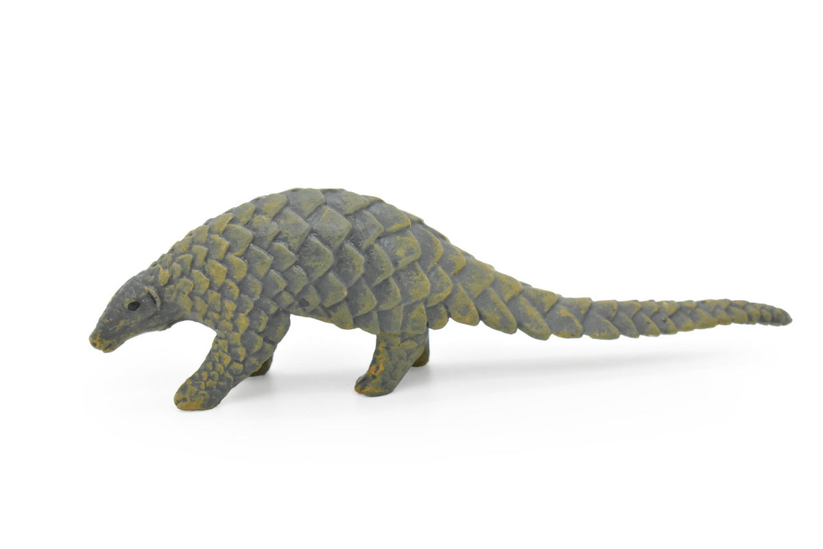 Pangolin, Scaly Anteaters, Museum Quality, Hand Painted, Educational, Rubber Animal, Realistic Toy Figure, Diorama Model, Kids,  5 Inches.