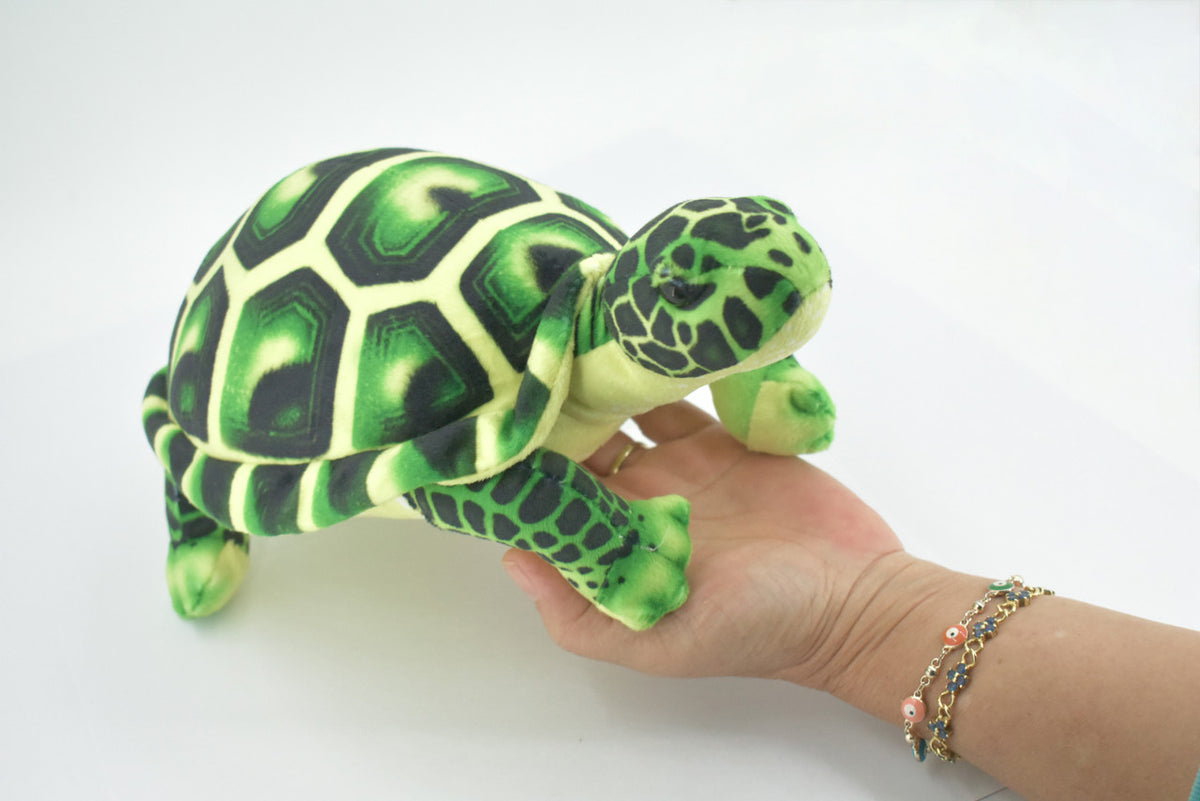 Turtle, Tortoise, Green, Reptile, Stuffed Animal, Plush, Educational, Realistic Design, Figure, Replica, Soft, Toy, Kids, Educational, Gift,         11 "        RI40 BA2