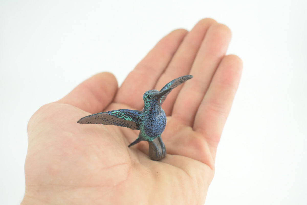 Hummingbird, Violet Sabrewing, Museum Quality, Hand Painted, Beautiful Humming Bird, Realistic, Toy, Kids, Educational, Gift, 2 3/4 Inches. CH869 BB199