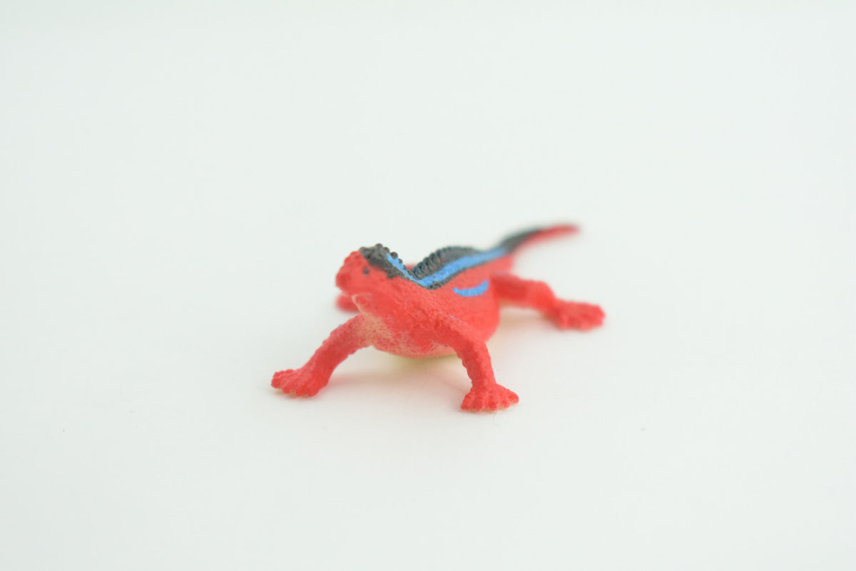 Red Head Agama, Rainbow Lizard, Rubber Reptile, Hand Painted, Educational, Realistic, Model, Replica, Toys, Kids, Gift,   2 1/2 Inches.    WR41 B197