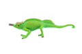 Lizard, Jackson's Horned Chameleon, Museum Quality, Hand Painted, Rubber Reptile, Educational, Realistic, Lifelike, Educational, Gift,    6"   CH270 BB124