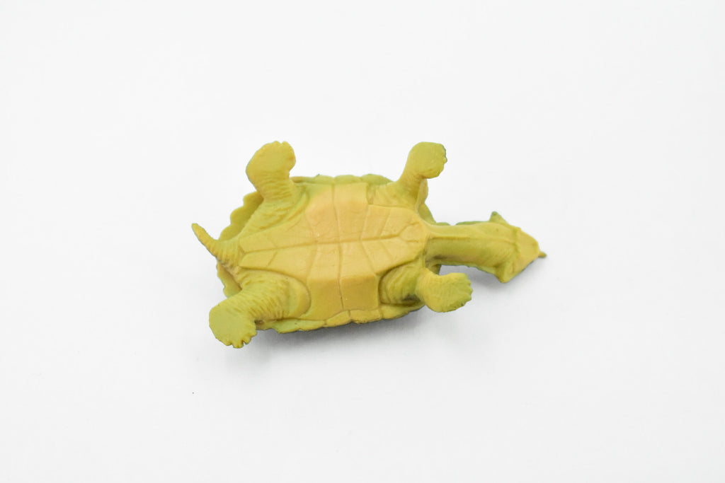 Alligator Snapping Turtle,  Matamata Turtle, Rubber Reptile, Hand Painted, Educational, Realistic Toy Figure, Diorama Model, Kids, Gift,     2 Inches.  CH414 BB108