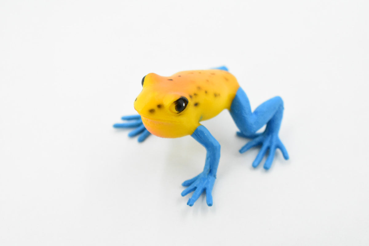 Blue Legged Mantella Frog, Madagascar, Hand Painted, Amphibian, Hard Rubber, Realistic Frog, Replica, Toy, Kids, Educational, Gift,      2"  