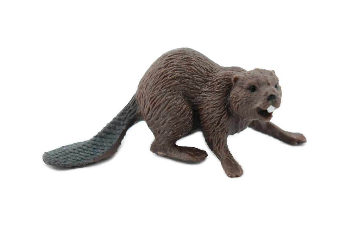 Beaver, Castor, Museum Quality, Hand Painted, Rubber Animal, Realistic Toy Figure, Diorama Model, Kids, Educational, Gift,      2 1/2 Inches.   