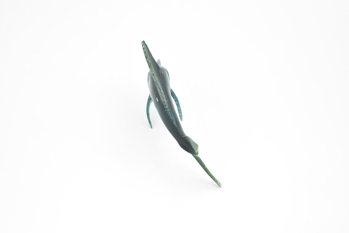 Sailfish, Billfish, Very Realistic Rubber Reproduction, Hand Painted,     6"     CH020 BB72