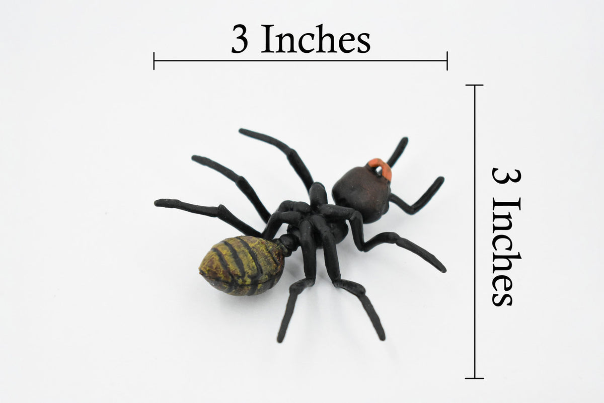 Black Ant, Myrmicinae, Museum Quality, Educational, Hand Painted, Rubber Insect, Realistic Toy Figure, Diorama Model, Kids,  3 Inches.