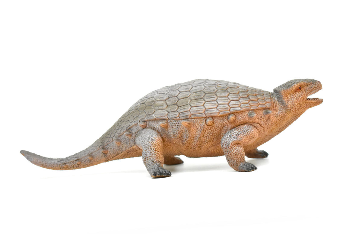 Ankylosaurus, Dinosaur, Cretaceous period, Museum Quality, Realistic, Educational, Hand Painted, Lifelike Design, Diorama Model, Replica, Toy,   12 Inches 