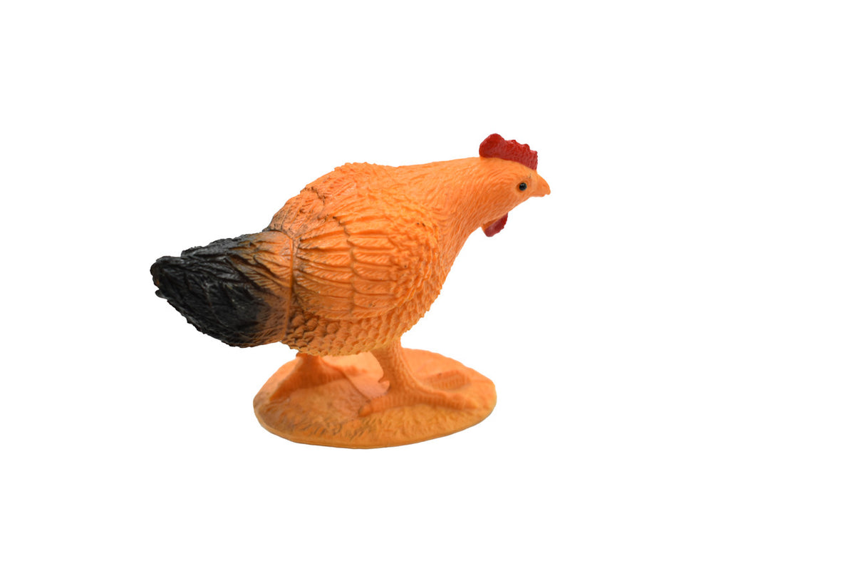 Chicken, Hen, Barn Bird, Realistic, Educational, Small Toy, Model, Very Nice Plastic Design, Replica, Birds, Animal, Kids,  4 Inches. 