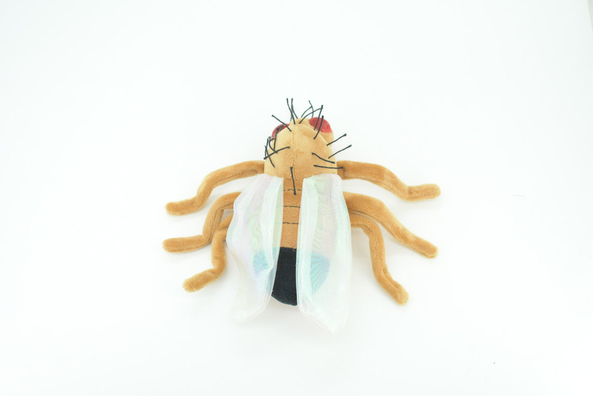 Fruit Fly, Drosophila melanogaster, Plush Insect Design, Educational, Figure, Replica, Gift,     6"   F4307 B323