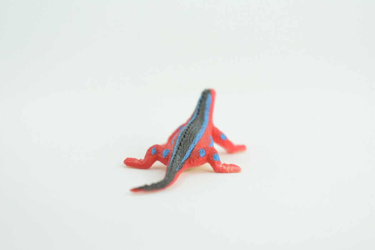 Red Head Agama, Rainbow Lizard, Rubber Reptile, Hand Painted, Educational, Realistic, Model, Replica, Toys, Kids, Gift,   2 1/2 Inches.    WR41 B197