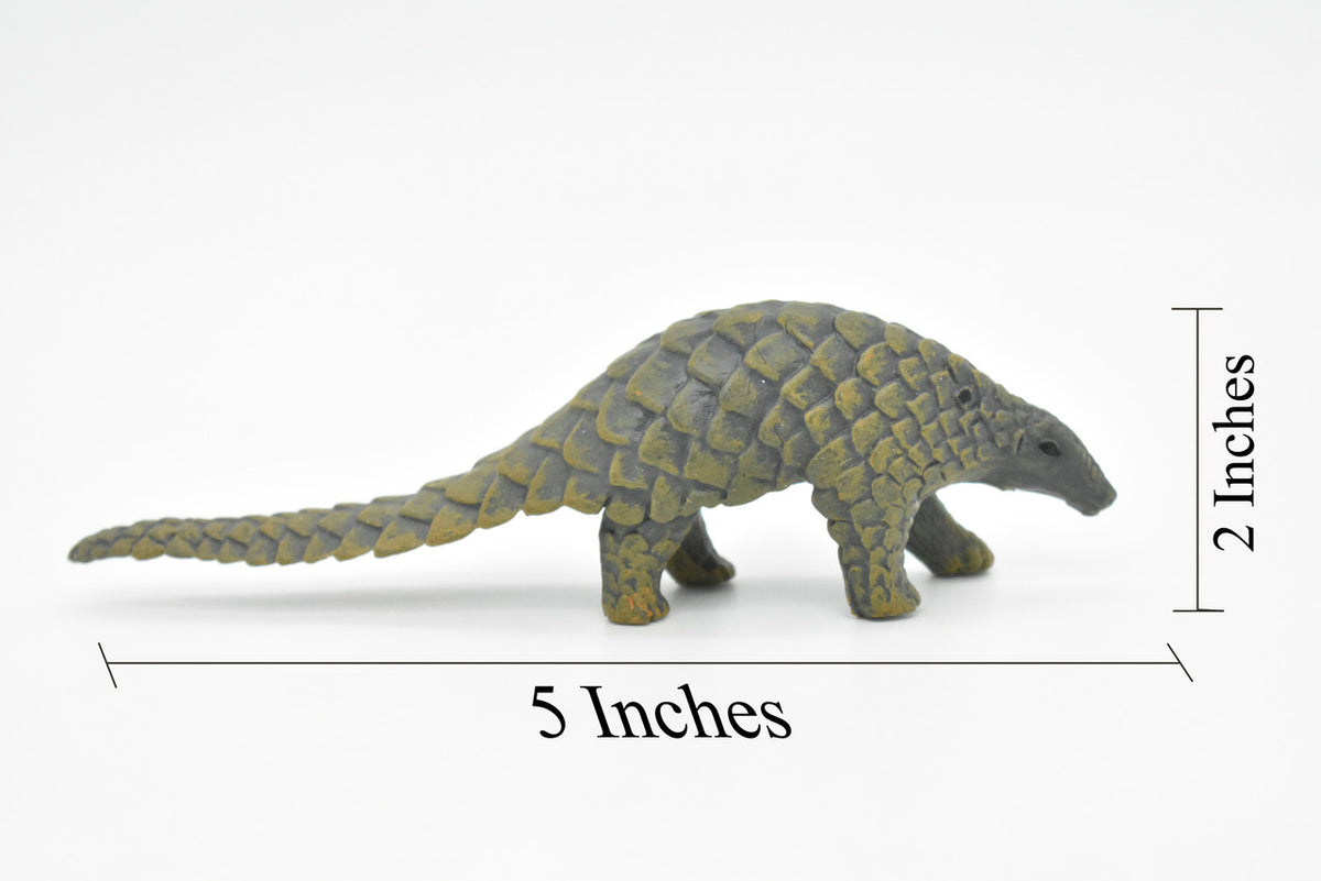 Pangolin, Scaly Anteaters, Museum Quality, Hand Painted, Educational, Rubber Animal, Realistic Toy Figure, Diorama Model, Kids,  5 Inches.