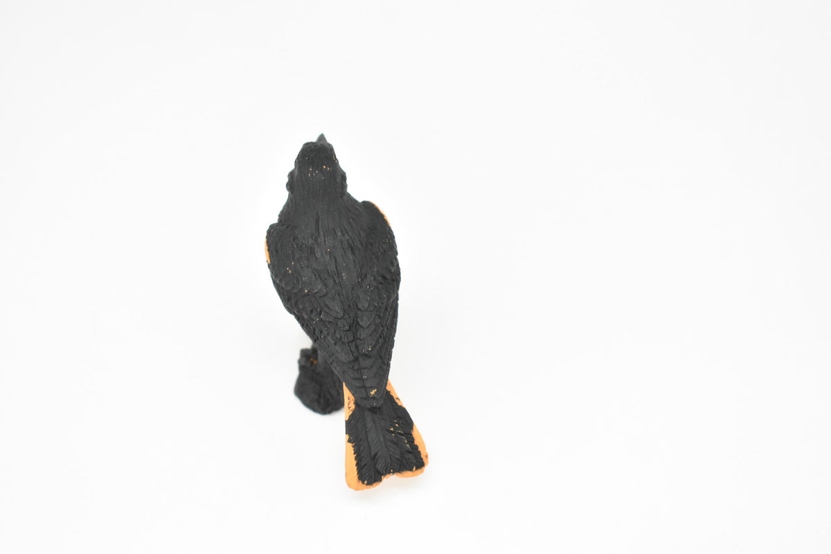 Oriole, Baltimore, Rubber Bird, Educational, Realistic, Hand Painted, Figure, Lifelike Model, Figurine, Replica, Gift,      2"     F3392 B27