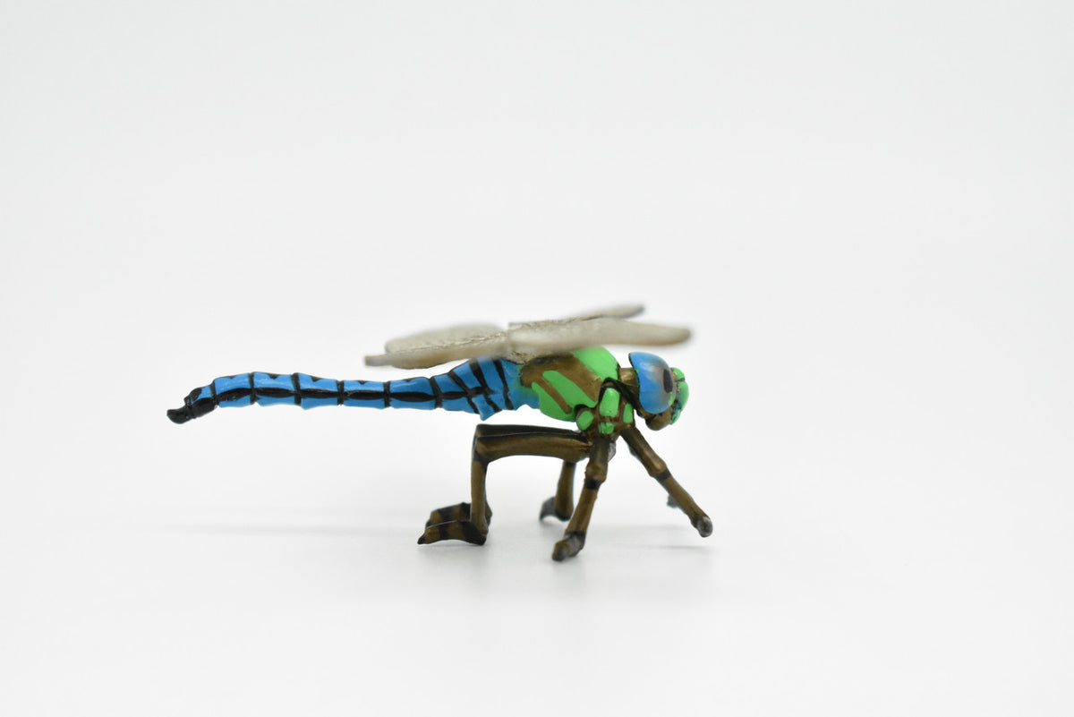 Dragonfly, Damsefly, Museum Quality Rubber Inscet, Educational, Realistic Hand Painted Figure, Lifelike Figurine, Replica, Gift,      4"      CWG251 B240