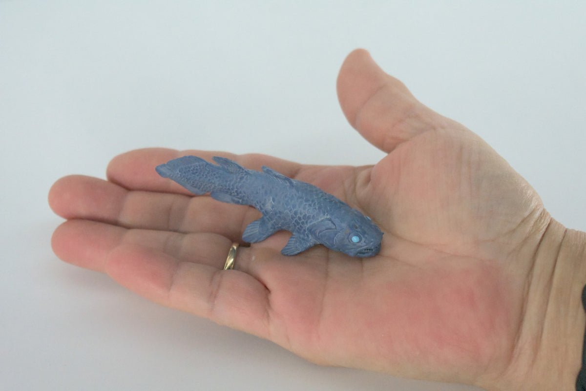 Coelacanth, Fish, Saltwater Fish, Rubber Fish, Hand Painted, Realistic, Figure, Model, Replica, Toy, Kids, Educational, Gift,     3"    F4233 B376