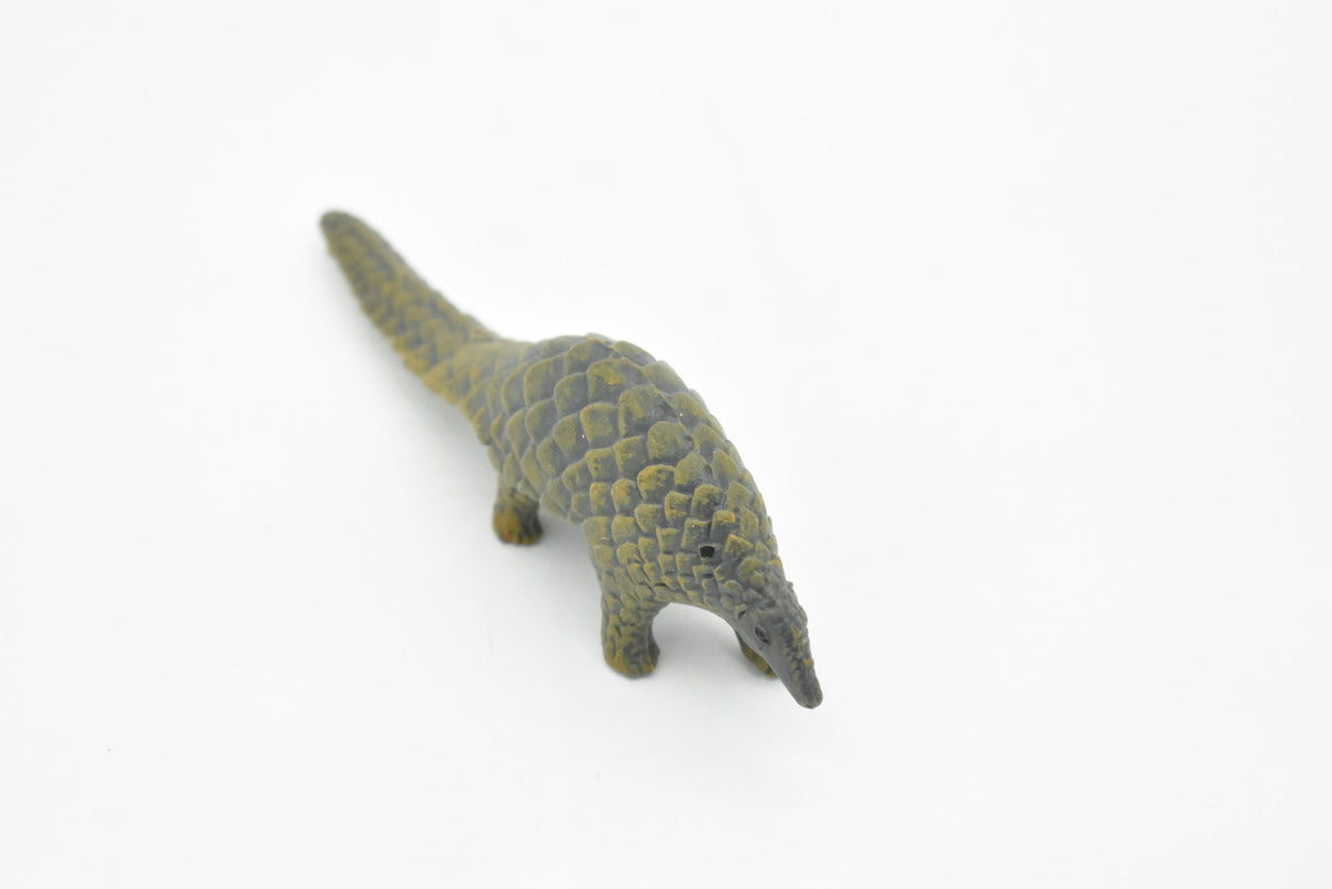 Pangolin, Scaly Anteaters, Museum Quality, Hand Painted, Educational, Rubber Animal, Realistic Toy Figure, Diorama Model, Kids,  5 Inches.