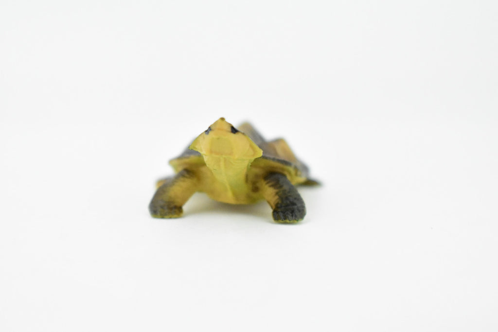 Alligator Snapping Turtle,  Matamata Turtle, Rubber Reptile, Hand Painted, Educational, Realistic Toy Figure, Diorama Model, Kids, Gift,     2 Inches.  CH414 BB108