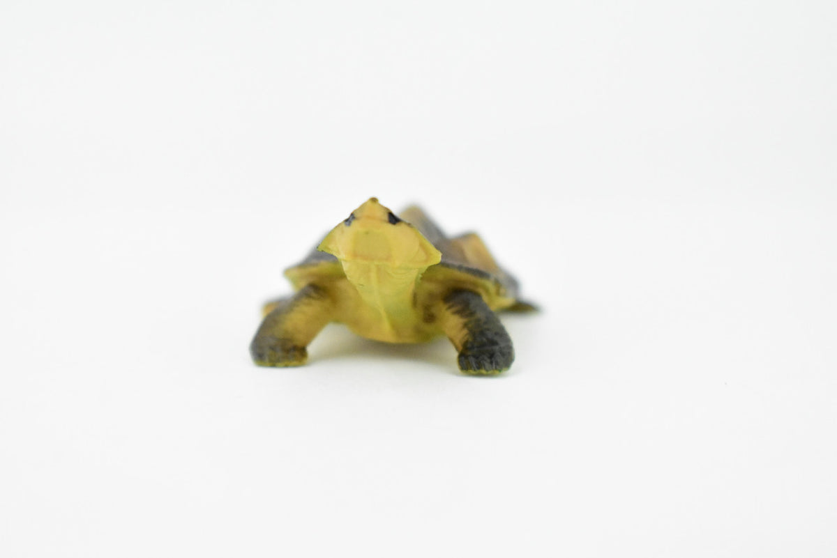 Alligator Snapping Turtle,  Matamata Turtle, Rubber Reptile, Hand Painted, Educational, Realistic Toy Figure, Diorama Model, Kids, Gift,     2 Inches.  CH414 BB108