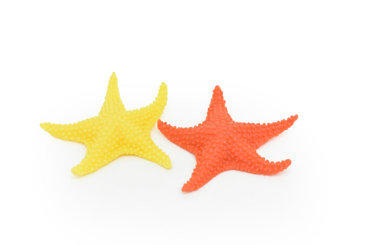 Starfish, Sea Star, Set of 2, Realistic, Asteroidea Design, Hand Painted, Realistic, Saltwater, Educational Model, Figure, Lifelike, Diorama Model, Toy, 2 Inches. 