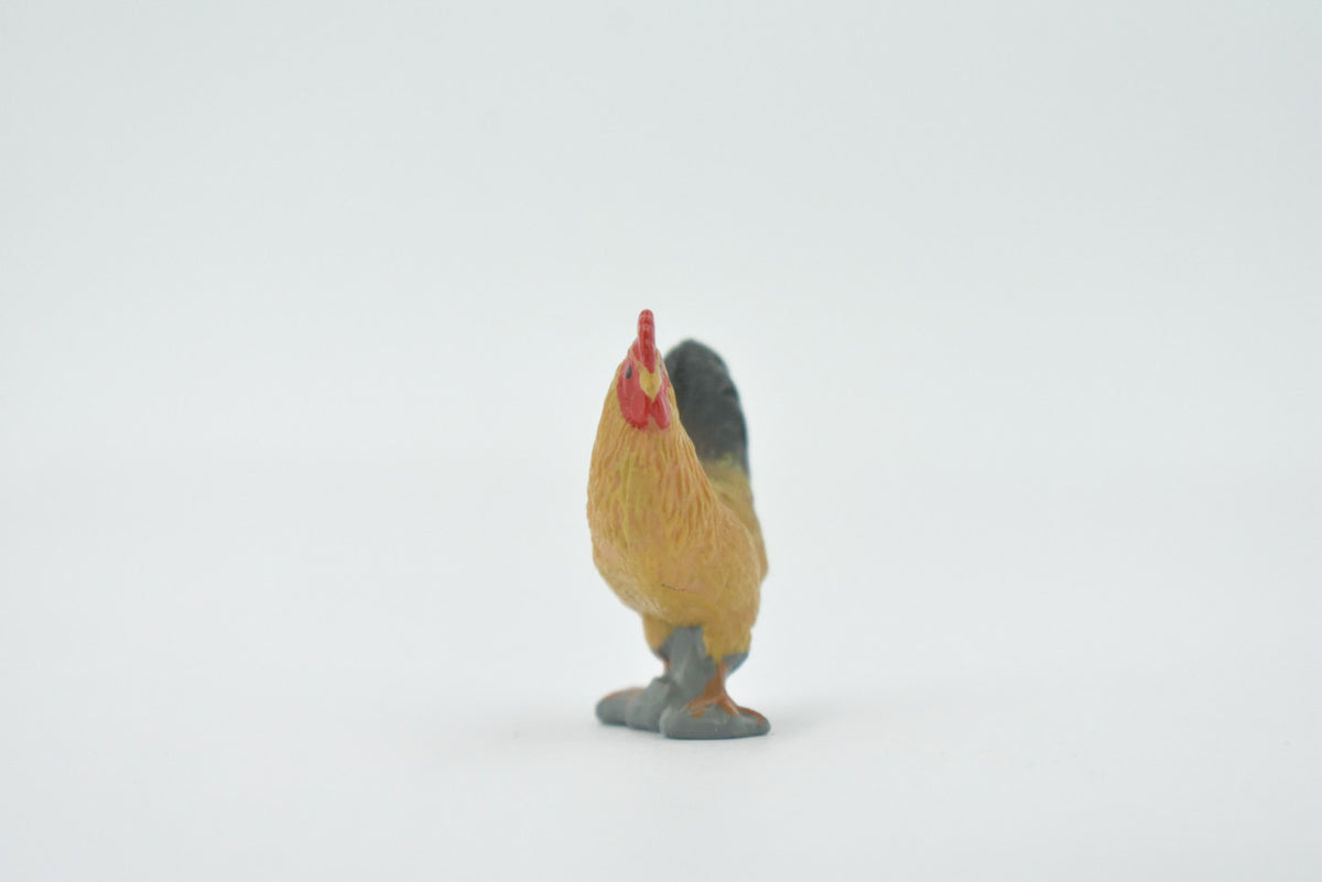 Bird, Rooster, Cock, Chicken, Museum Quality, Hand Painted, Rubber, Realistic, Figure, Model, Replica, Toy, Kids, Educational, Gift,       1 1/2"     CH507 BB156
