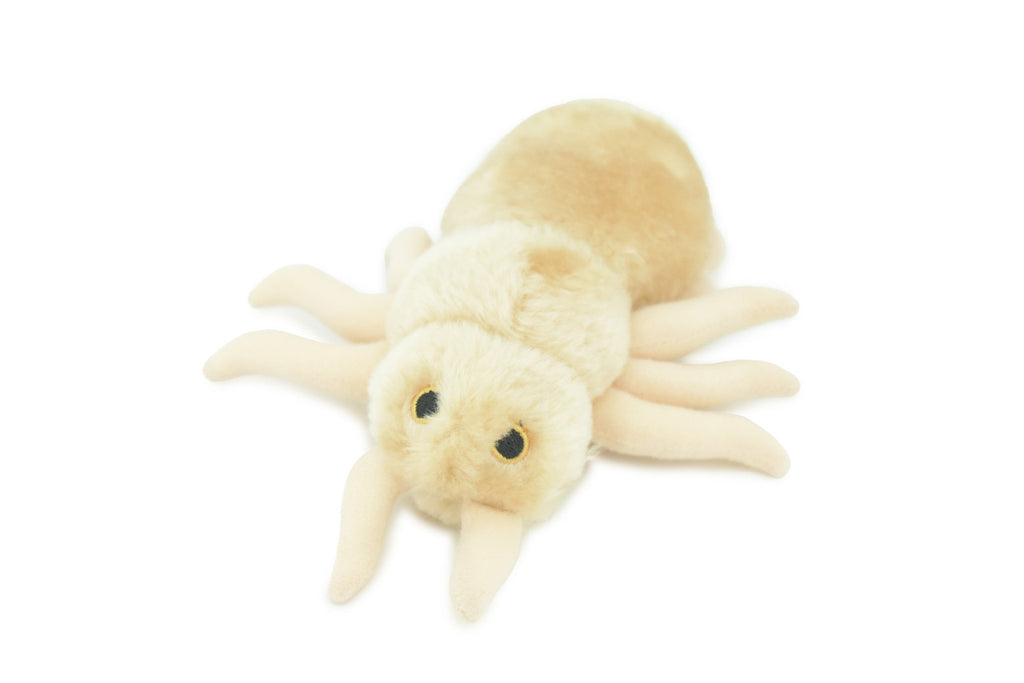 Louse, Pediculus capitis, Head lice, Insect, Parasite, Plush Design, Educational, Figure, Replica, Gift,      8"     F1566 B102