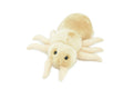 Louse, Pediculus capitis, Head lice, Insect, Parasite, Plush Design, Educational, Figure, Replica, Gift,      8"     F1566 B102