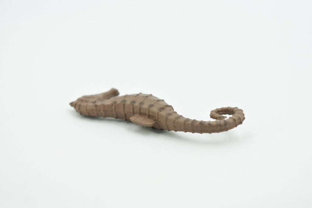 Seahorse, Brown, Hand Painted, Related to Pipefish, and Seadragons, Realistic Rubber, Educational, Figure, Lifelike, Replica, Gift,     2 1/2"     F585 B34