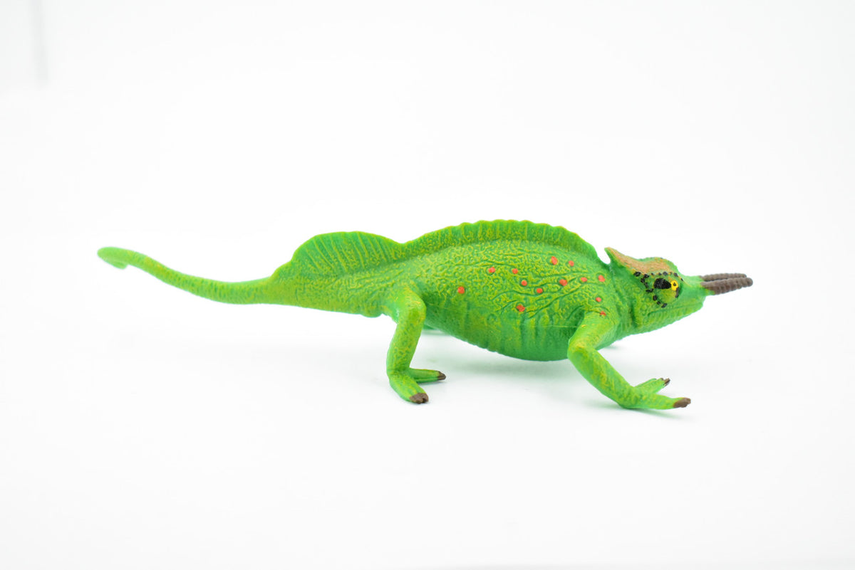 Lizard, Jackson's Horned Chameleon, Museum Quality, Hand Painted, Rubber Reptile, Educational, Realistic, Lifelike, Educational, Gift,    6"   CH270 BB124
