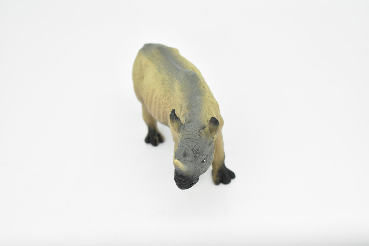 Rhino, Rhinoceros, Very Nice Plastic Design, African Animal Figure, Educational, Figure, Lifelike, Diorama Model, Figurine, Replica, Toy, Kids, Gift,    6 Inches.    CWG180 BB44