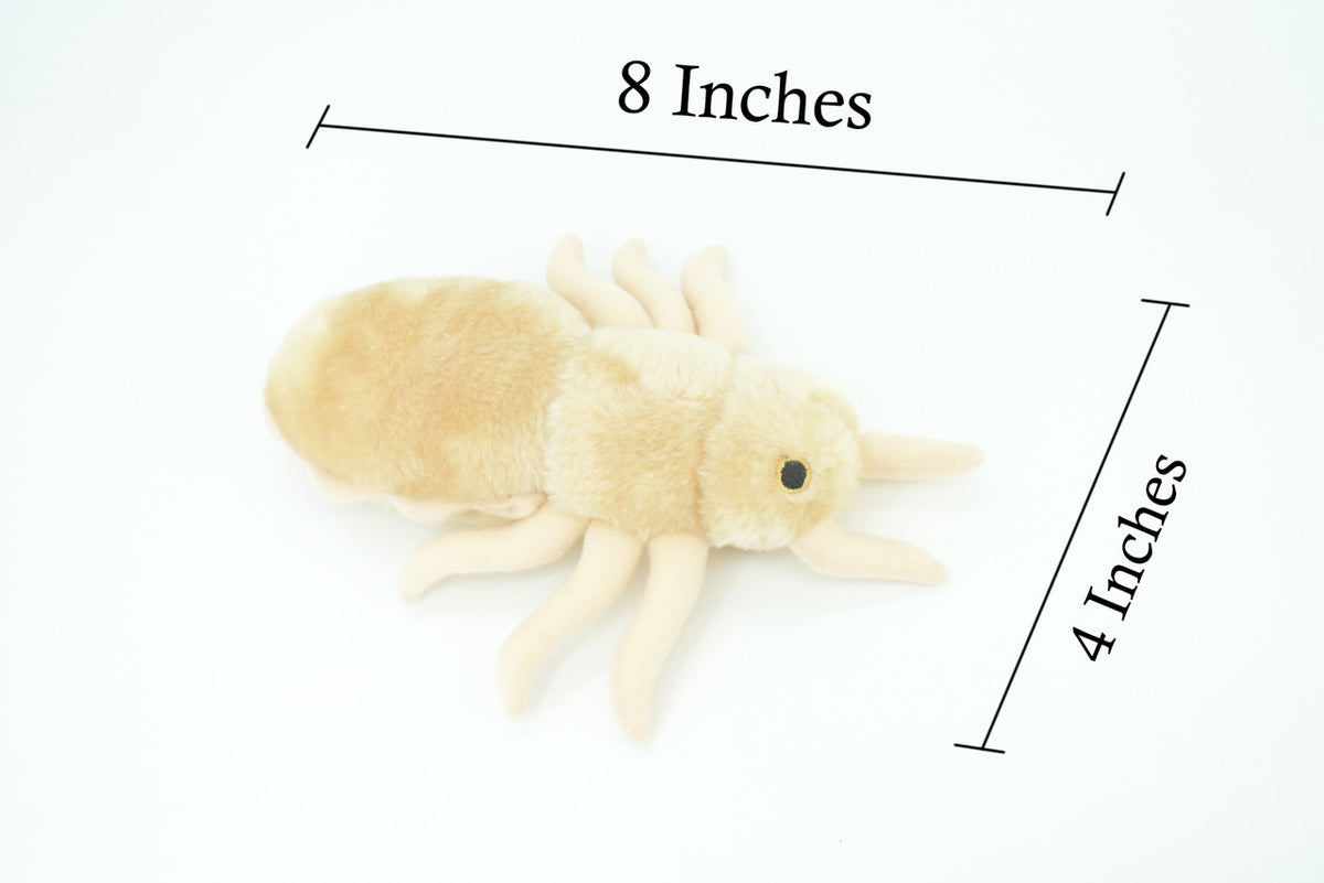 Louse, Pediculus capitis, Head lice, Insect, Parasite, Plush Design, Educational, Figure, Replica, Gift,      8"     F1566 B102
