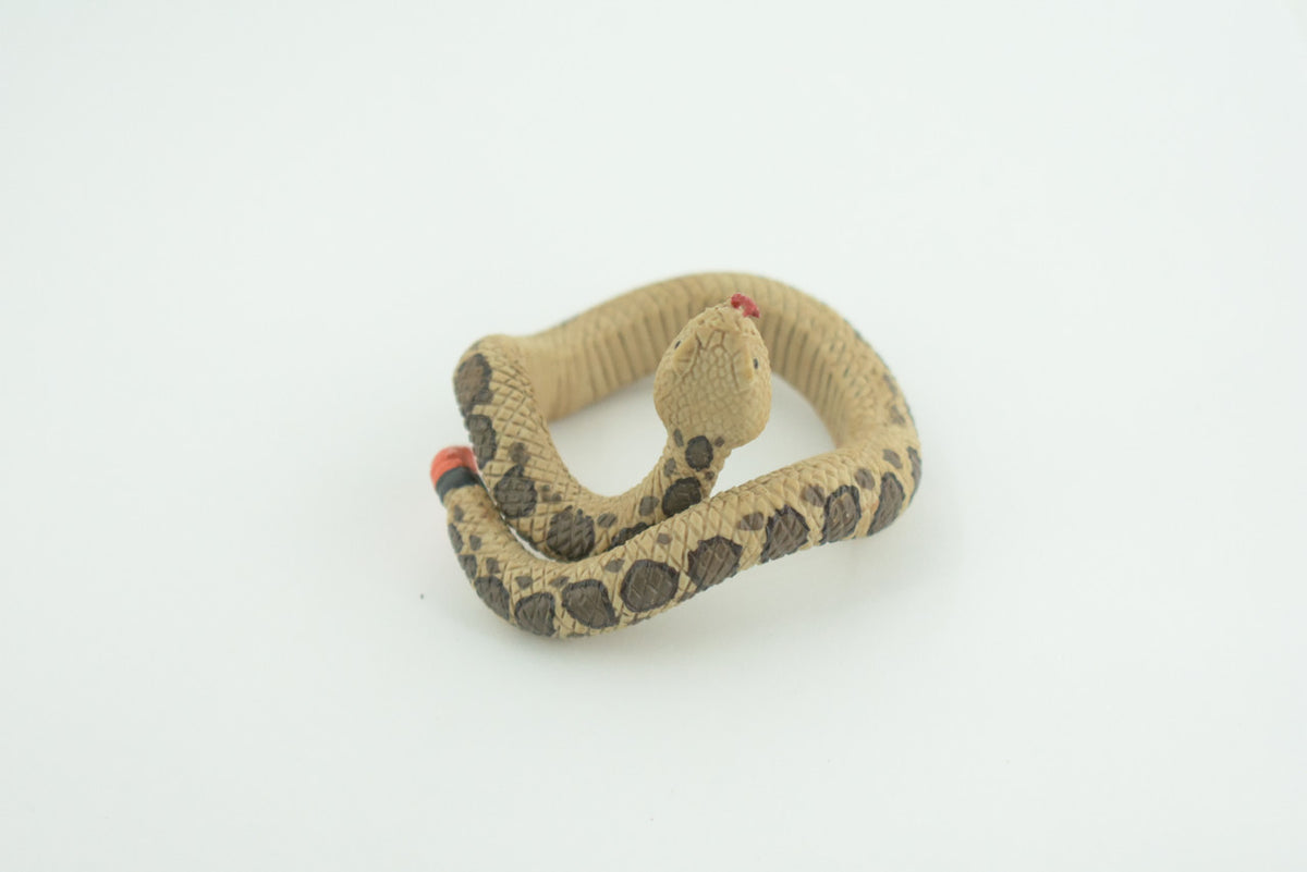 RattleSnake Bracelet, Snake Wrist Band, Plastic, Reptile, Educational, Realistic, Beautiful Design, Figure, Lifelike, Replica, Gift,     3"   RI68 B663