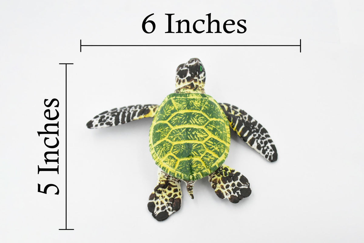 Turtle, Green Sea Turtle, Museum Quality, Hand Painted, Rubber Reptile, Realistic Toy Figure, Model, Replica, Kids, Educational, Gift,     6"     CH388 BB144